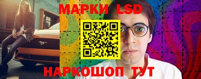 индика Ирбит