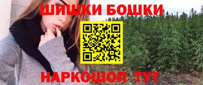 индика Ирбит