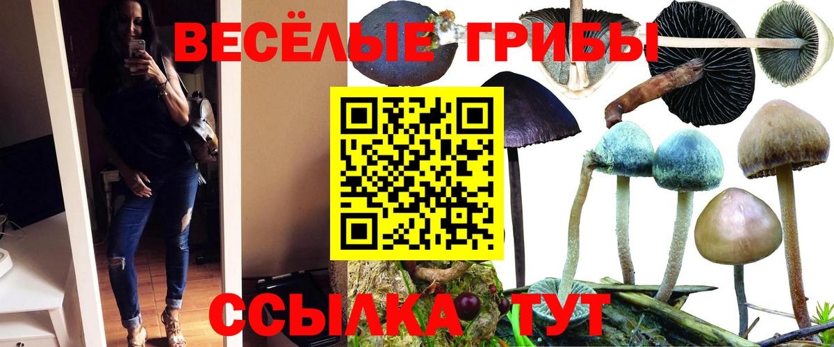 Псилоцибиновые грибы мицелий  Псилоцибиновые грибы MAGIC MUSHROOMS  сколько стоит  Москва  Вход с VPN 